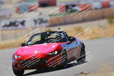 media/Mar-08-2025-Extreme Speed (Sat) [[4abb97269e]]/Blue/Turns 2  and  4 (Session 2)/